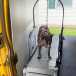 Cindy Loo on slatmill inside Zoomies2Go van