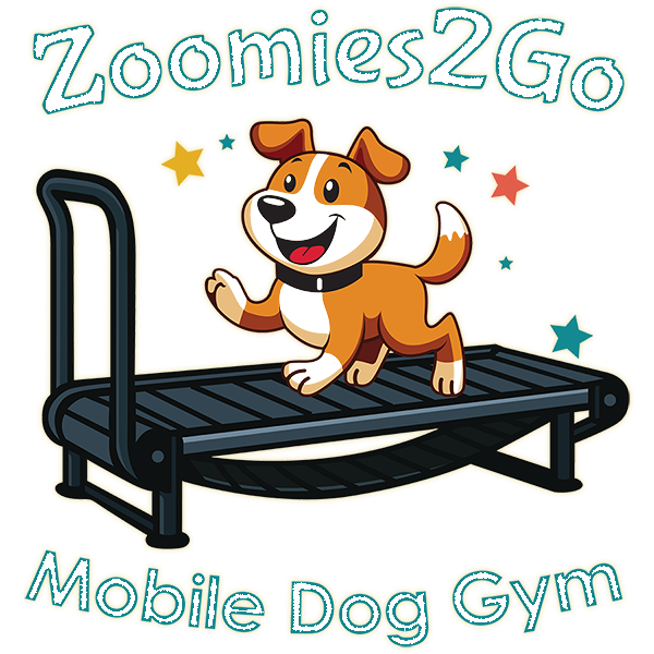 Zoomies 2 Go